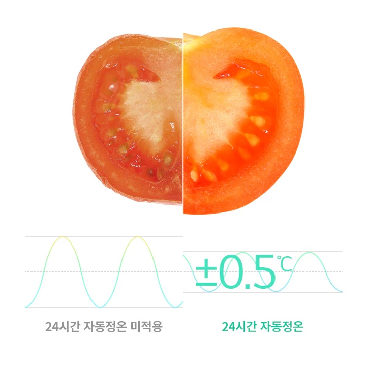 토마토 단면이 두 부분으로 나뉘어 있으며, 각 부분의 색상이 다릅니다. 아래에는 두 개의 온도 변화 그래프가 있으며, 각각 24시간 자동정온 미적용과 24시간 자동정온이라는 텍스트가 있습니다. 오른쪽 그래프에는 +0.5&deg;C라는 표시가 추가되어 있습니다.
