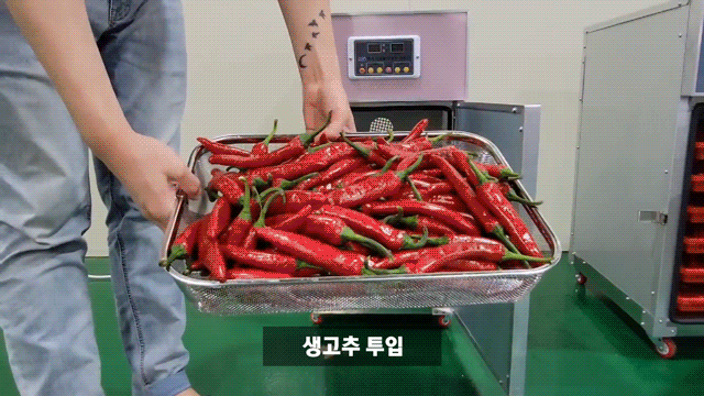 동양렌탈 DYS-05 동서건조기 다목적 가정용 식품건조기 고추건조기 상세이미지 1