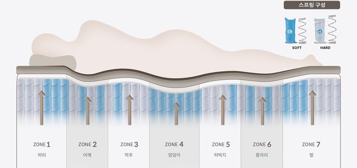 7존 스프링 이미지