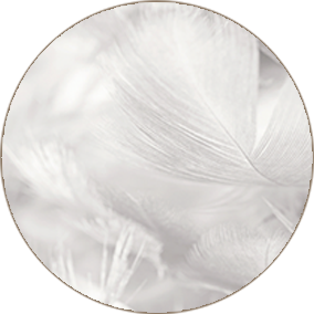 코웨이 CMSS-SE01 BEREX 더블 사이드 매트리스 상세이미지 15