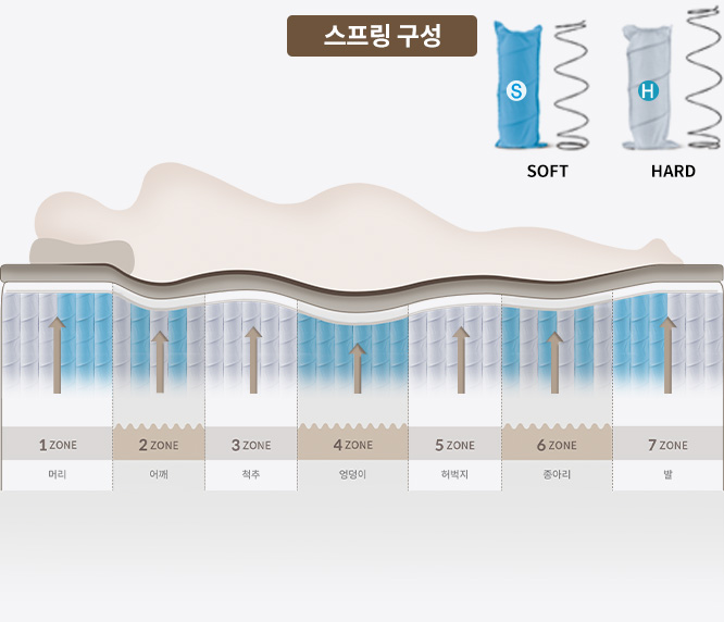 시그니처 독립 스프링 이미지