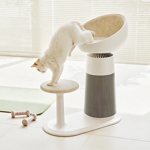 실내에 LG 퓨리케어 AI 오브제컬렉션 에어로캣타워가 배치되어 있습니다. 고양이가 제품의 돔형 좌석에서 디딤판으로 내려오고 있는 모습입니다. 블라인드가 설치된 큰 창문을 통해 자연광이 들어오고 있으며, 바닥에는 요가 매트와 두 개의 아령이 놓여 있습니다.