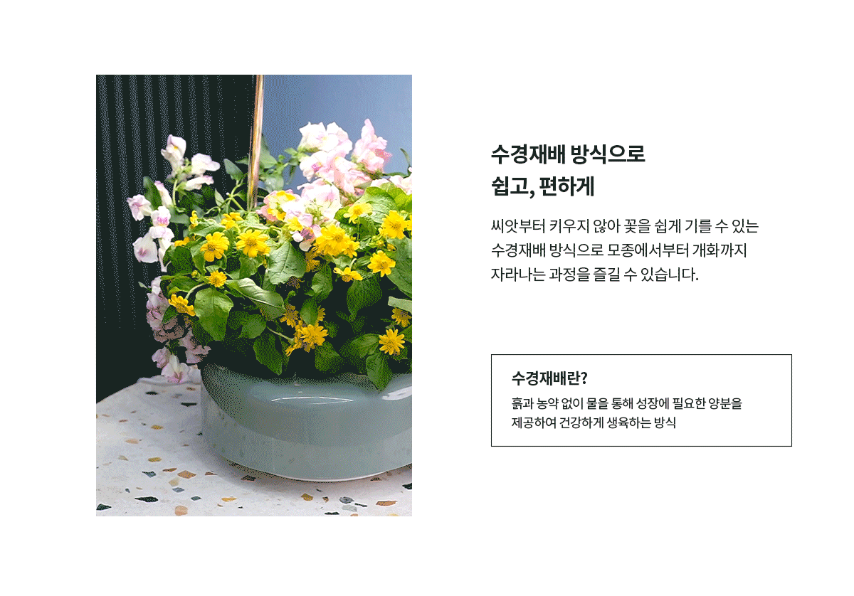 교원웰스 GQ104 웰스팜 플라워 초심자 패키지 상세이미지 4