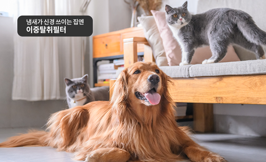 코웨이 AP-3519A 벽걸이 공기청정기 상세이미지 2