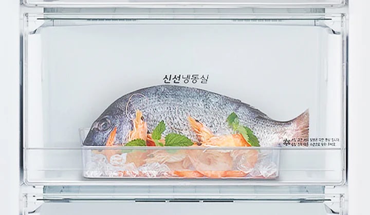 냉장고 내부에 신선 냉동실이 보이며, 투명한 용기에 얼음과 함께 생선이 담겨 있습니다. 생선 주변에는 녹색 잎과 오렌지색 조각이 함께 놓여 있습니다. 신선냉동실이라는 글자가 중앙에 위치해 있으며, 하단에는 작은 글씨로 강력한 급속 냉동으로 맛과 신선함을 오래오래 유지라는 문구가 적혀 있습니다.
