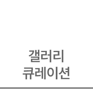 갤러리 큐레이션