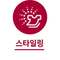 원 안에 셔츠 아이콘이 있고, 아래에 스타일링이라는 글자가 적혀 있습니다.
