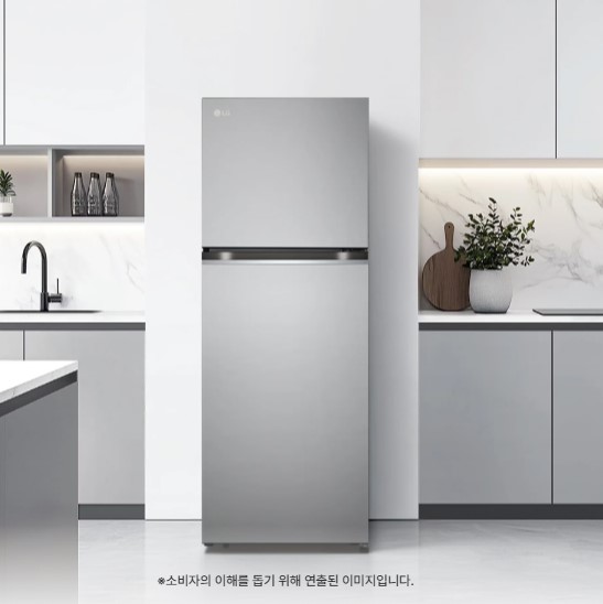 LG전자 D315MPS31 LG 디오스 오브제컬렉션 일반냉장고 317L 제품 이미지