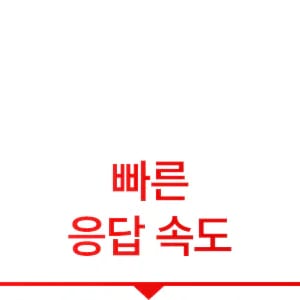 빠른 응답 속도