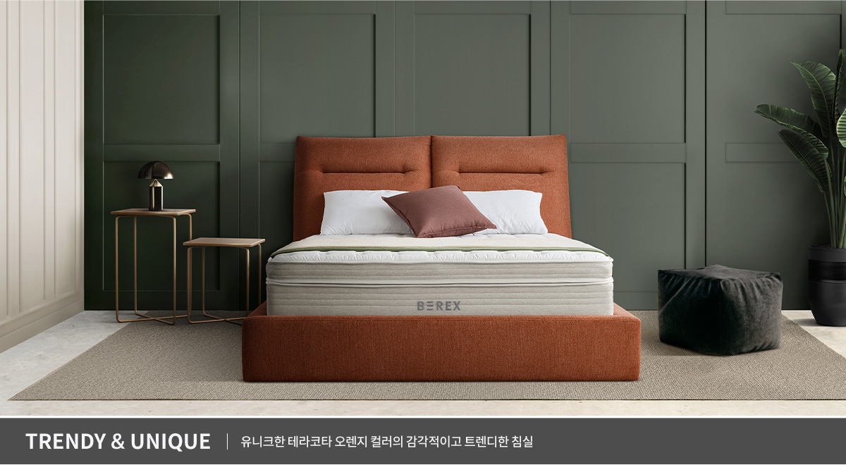 코웨이 CFK-CB01 BEREX 컴포트 프레임 상세이미지 30