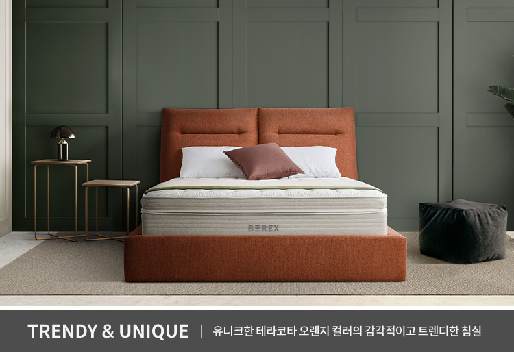 코웨이 CFK-CB01 BEREX 컴포트 프레임 상세이미지 31